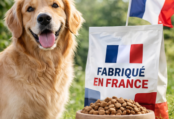 Pourquoi privilégier des croquettes pour chien fabriquées en France ?